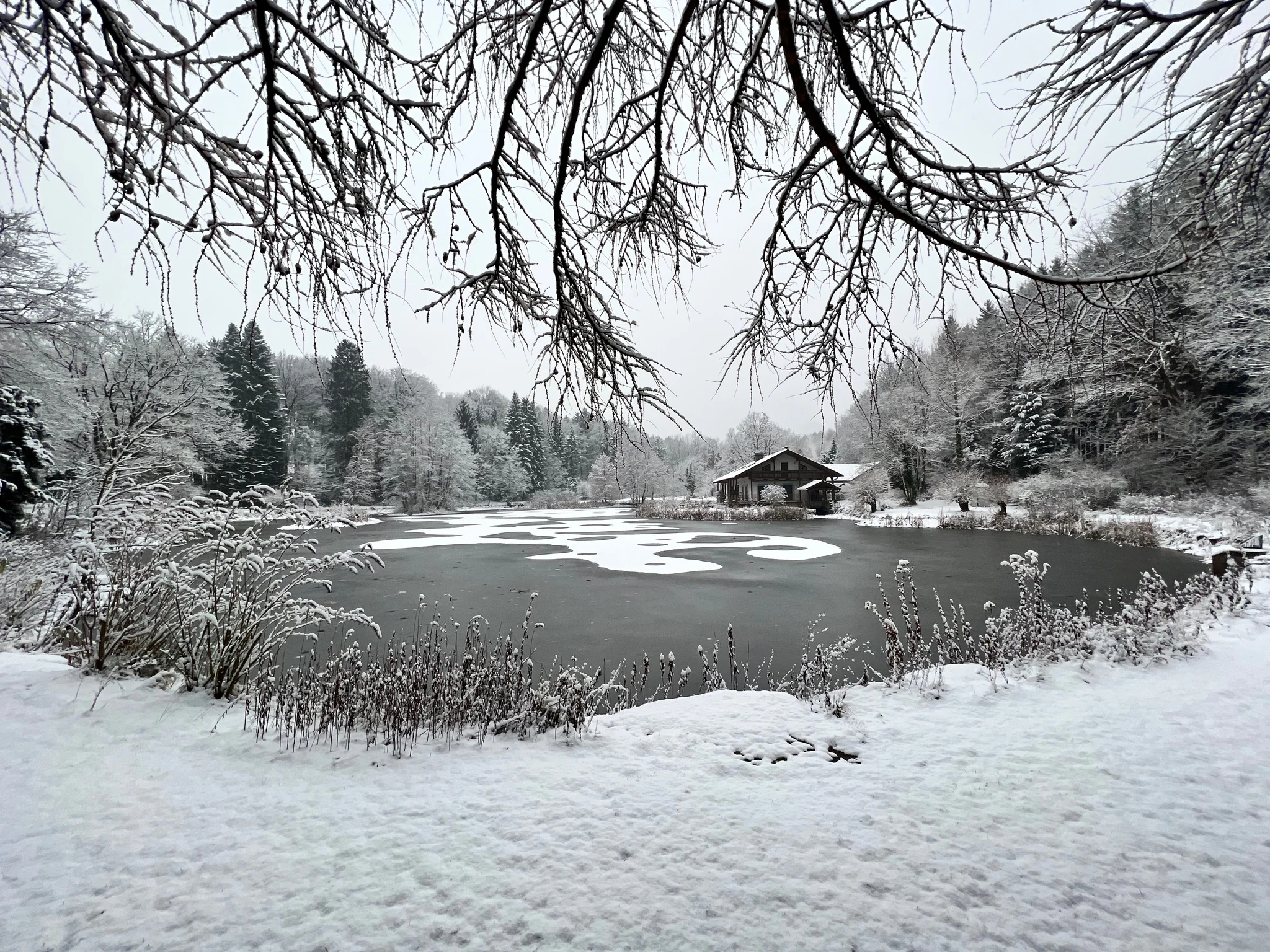 Verschneiter Teich und Haus zwischen winterlichen Bäumen